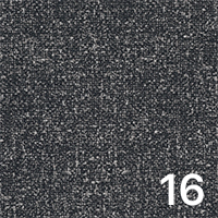 Leo 16