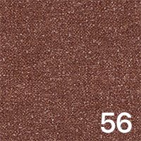 Leo 56