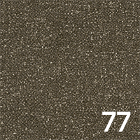 Leo 77