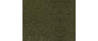Enigma Olive